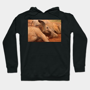 Baby Elephants Playtime Hoodie